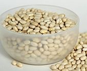 Types of Beans