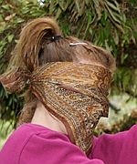 blindfolded