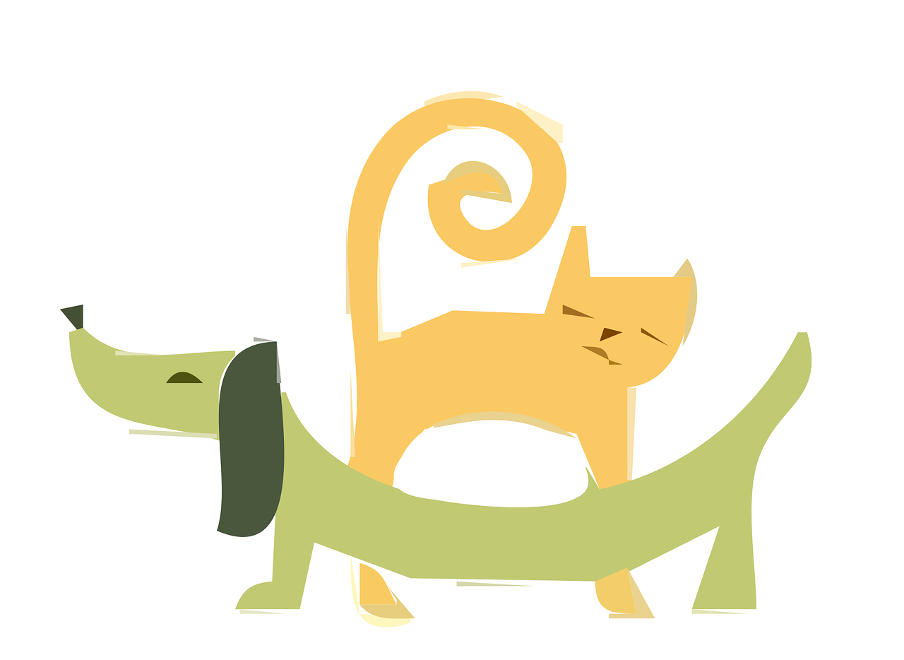 Cat & Dog