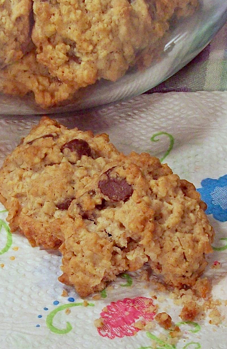 Oatmeal Chocolate Chippers