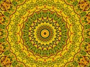 Kaleidoscope Image