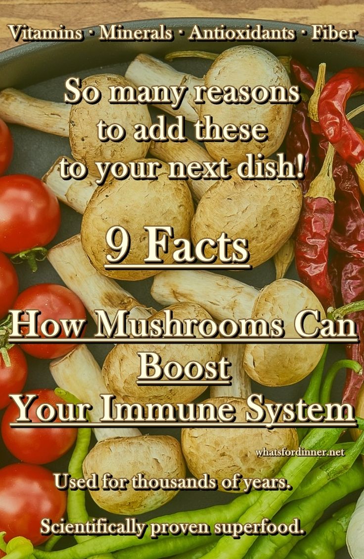 9 Facts - How Mushrooms Can Boost Your Immune System