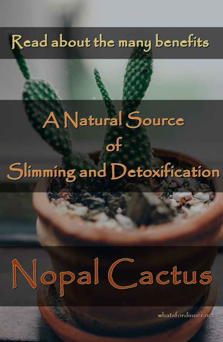 Nopal cactus - a natural source of slimming and detoxification