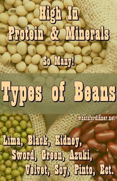 Infographic on Types of Beans