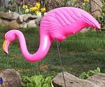 Pink Flamingo