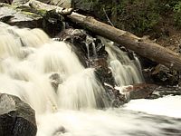 raging river