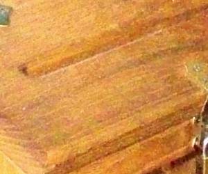close-up Suggestion Box