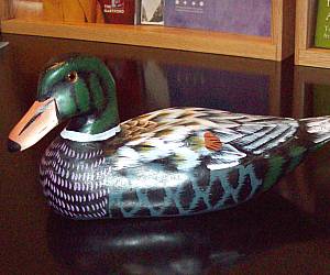 Wooden Duck