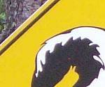 close-up Skunk Crossing Sign
