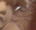 close-up mystery picture