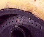 close-up mystery picture