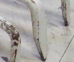 close-up mystery picture