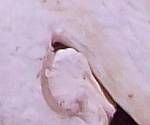 close-up mystery picture
