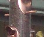 close-up mystery picture