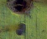 close-up mystery picture