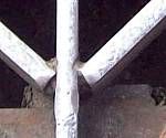 close-up mystery picture