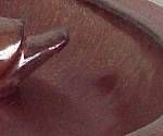 close-up mystery picture