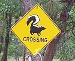 Mystery Picture Answer