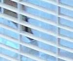 close-up mystery picture