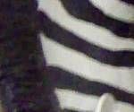 close-up mystery picture