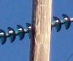close-up mystery picture