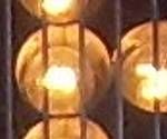 close-up mystery picture