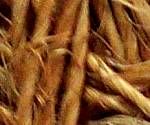 close-up mystery picture