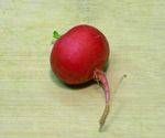 Mystery Picture Answer