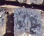 close-up mystery picture