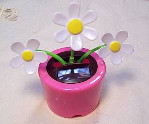 Mystery Picture Answer