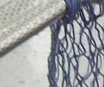 close-up mystery picture