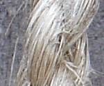 close-up mystery picture