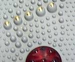 close-up mystery picture