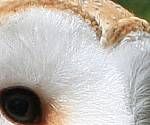 close-up mystery picture