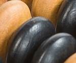 close-up mystery picture